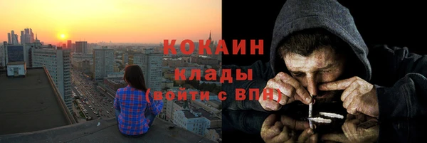 твердый Богородск