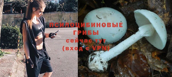 МДПВ Горнозаводск