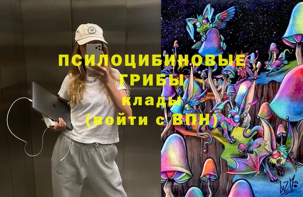 mdpv Богородицк