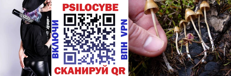 Галлюциногенные грибы мухоморы Донской